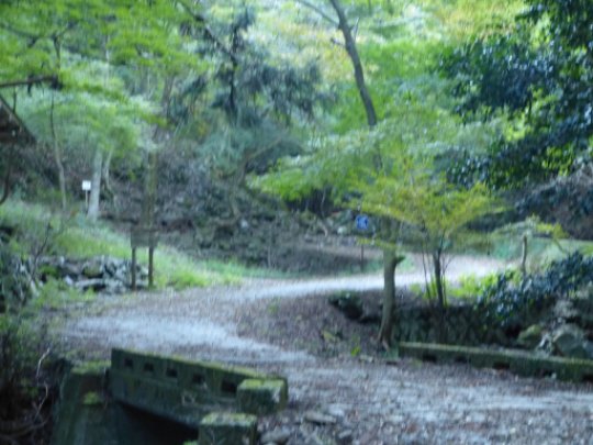 画像11